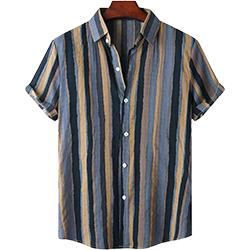 camisa rayas vertical